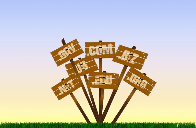 Read more about the article What is a domain name?